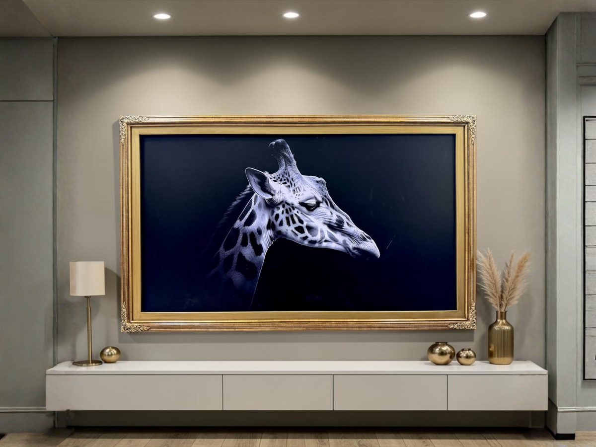 Samsung TV Frames