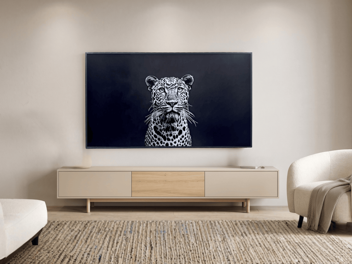 TV without a decorative frame