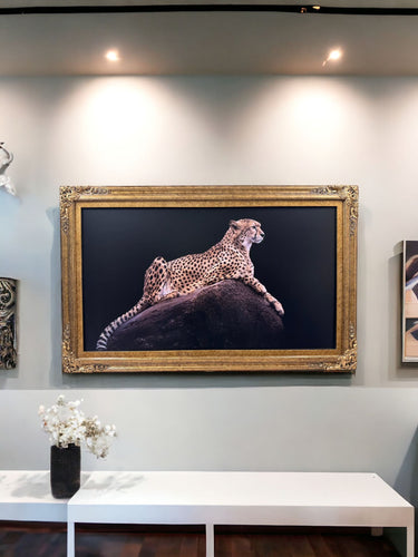 32" to 65" inch Ornate frame for Samsung The Frame TV and Frame Pro TV models, Marble Gold finish, not meant for use with other TVs.