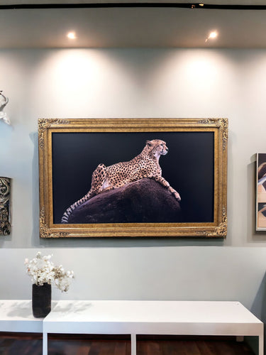 75 & 85 inch Ornate frame for Samsung The Frame Tv and Frame Pro Tv models, Marble Gold finish, SHIPS VIA FREIGHT