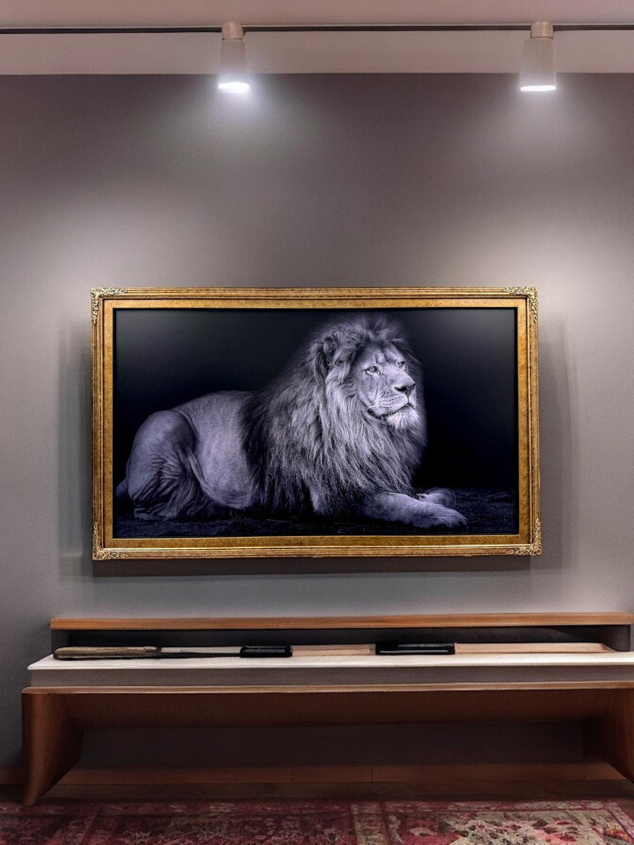 32" to 75" inch Ornate frame for Samsung The Frame and Frame Pro TV models, Marble Gold finish, not meant for use with other TVs