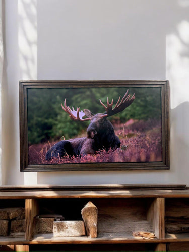 55, 65 & 75 Inch Hisense Canvas TV wood frame, Rustic Dark Wood finish, Canvas TV by Hisense, not meant for use with other TVs.
