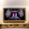 32" to 75" Inch TV frame for Samsung The Frame TV and Frame Pro TV models, Rustic Light Wood finish, not meant for use with other TVs.