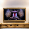 65 & 75 Inch TV frame for Samsung The Frame TV and Frame Pro TV models, Rustic Light wood finish,not meant for use with other TVs.