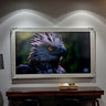 65 & 75 inch Hisense Canvas TV Ornate frame, Antique Silver finish, Canvas TV by Hisense, not meant for use with other TVs.