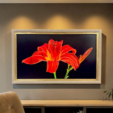 55, 65 & 75 inch Contemporary frame for TCL NXT, Rustic Cream With Gold Leaf, TCL frame Tv not meant for use with other TVs.