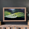 32" to 75" Inch TV frame for Samsung The Frame TV and Frame Pro TV models, Rustic Driftwood finish, not meant for use with other TVs.
