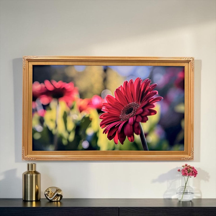 32" to 55" inch Ornate frame for Samsung The Frame TV & Frame Pro TV models, Light Gold finish, not meant for use with other TVs.