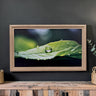 65 & 75 Inch TV frame for Samsung The Frame TV and Frame Pro TV models, Rustic Driftwood finish,not meant for use with other TVs.